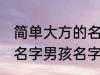 简单大方的名字男孩名字 简单大方的名字男孩名字推荐