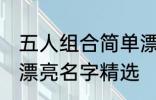 五人组合简单漂亮名字 五人组合简单漂亮名字精选