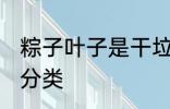 粽子叶子是干垃圾吗 粽子叶子的垃圾分类