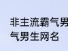 非主流霸气男生网名 好听的非主流霸气男生网名