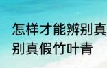 怎样才能辨别真假竹叶青 如何才能辨别真假竹叶青