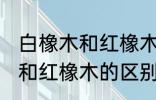 白橡木和红橡木的区别是什么 白橡木和红橡木的区别介绍