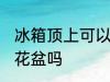 冰箱顶上可以放花盆吗 冰箱顶上能放花盆吗