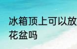 冰箱顶上可以放花盆吗 冰箱顶上能放花盆吗