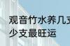 观音竹水养几支最旺运 观音竹水养多少支最旺运