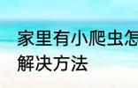 家里有小爬虫怎么办 家里有小爬虫的解决方法