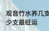 观音竹水养几支最旺运 观音竹水养多少支最旺运