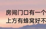 房间门口有一个蜂窝是什么兆头 门口上方有蜂窝好不好