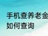 手机查养老金怎么查询 手机查养老金如何查询