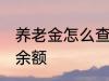 养老金怎么查询余额 养老金如何查询余额