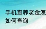 手机查养老金怎么查询 手机查养老金如何查询