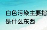 白色污染主要指的是什么 白色污染的是什么东西