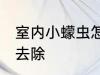 室内小蠓虫怎样去除 室内小蠓虫如何去除