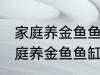 家庭养金鱼鱼缸里放什么水草好呢 家庭养金鱼鱼缸里放哪种水草好呢