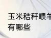 玉米秸秆喂羊方法 玉米秸秆喂羊方法有哪些