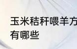 玉米秸秆喂羊方法 玉米秸秆喂羊方法有哪些