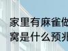 家里有麻雀做窝好不好 家里有麻雀做窝是什么预兆