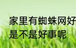 家里有蜘蛛网好事坏事 家里有蜘蛛网是不是好事呢