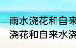 雨水浇花和自来水浇花有区别吗 雨水浇花和自来水浇花有什么区别