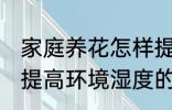 家庭养花怎样提高环境湿度 家庭养花提高环境湿度的技巧