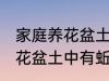 家庭养花盆土中有蚯蚓怎么办 家庭养花盆土中有蚯蚓的解决方法